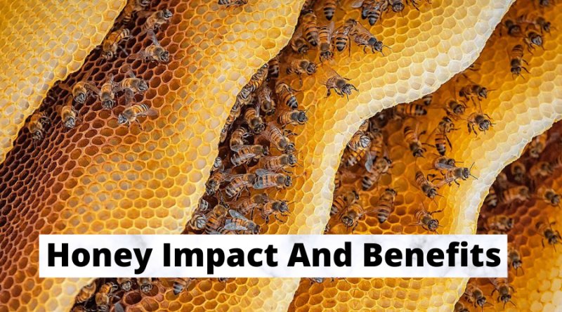 Impact And Benefits
